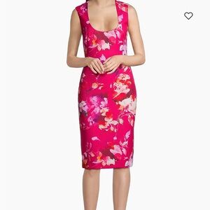 Black Halo Fuchsia Floral Midi Dress